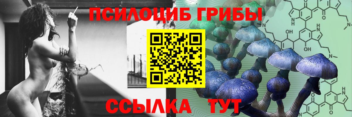 Псилоцибиновые грибы мухоморы  Вход с VPN  Петрозаводск 