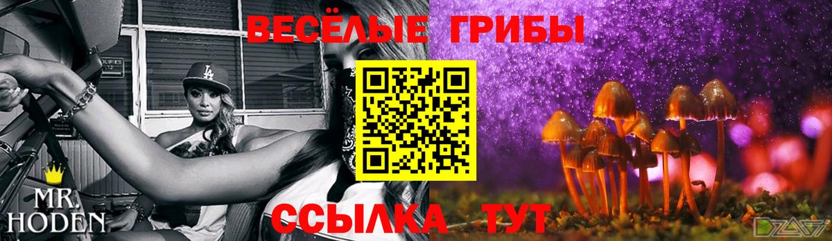 Псилоцибиновые грибы мухоморы Петрозаводск